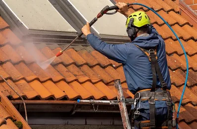 Démoussage et hydrofuge de toiture à Chignin